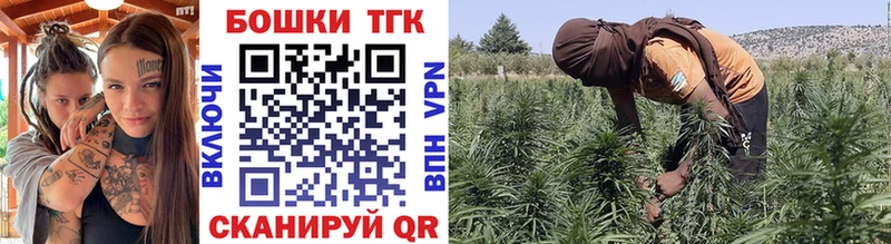 Конопля ГИДРОПОН  OMG как войти  Красный Холм 
